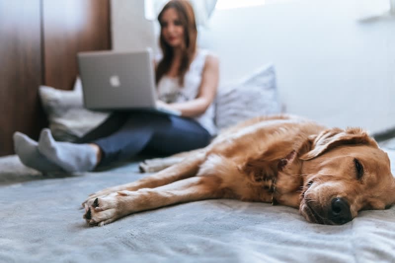 Le télétravail est agréable pour la qualité de vie mais il est important de faire attention à ne pas faire augmenter la facture.