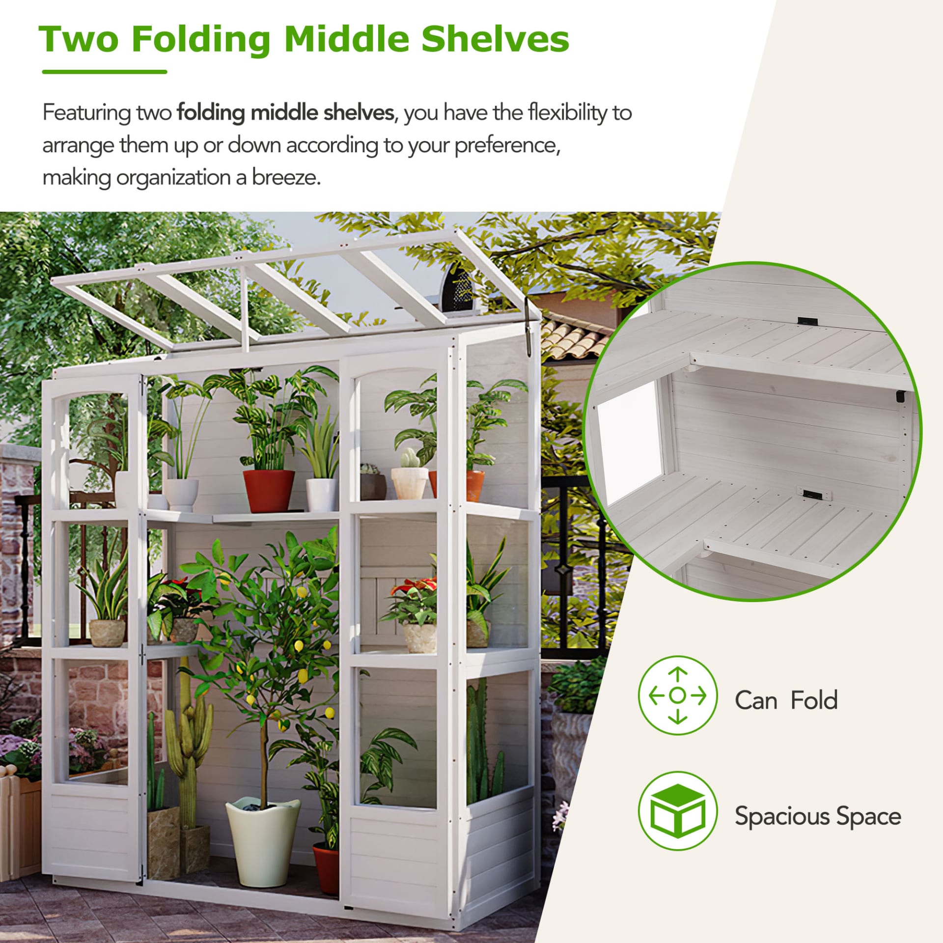 TOPMAX 78-inch Wooden Greenhouse Cold Frame With 4 Independent Skylights And 2 Folding Middle Shelves, Walk-in Outdoor Greenhouse, White view 3