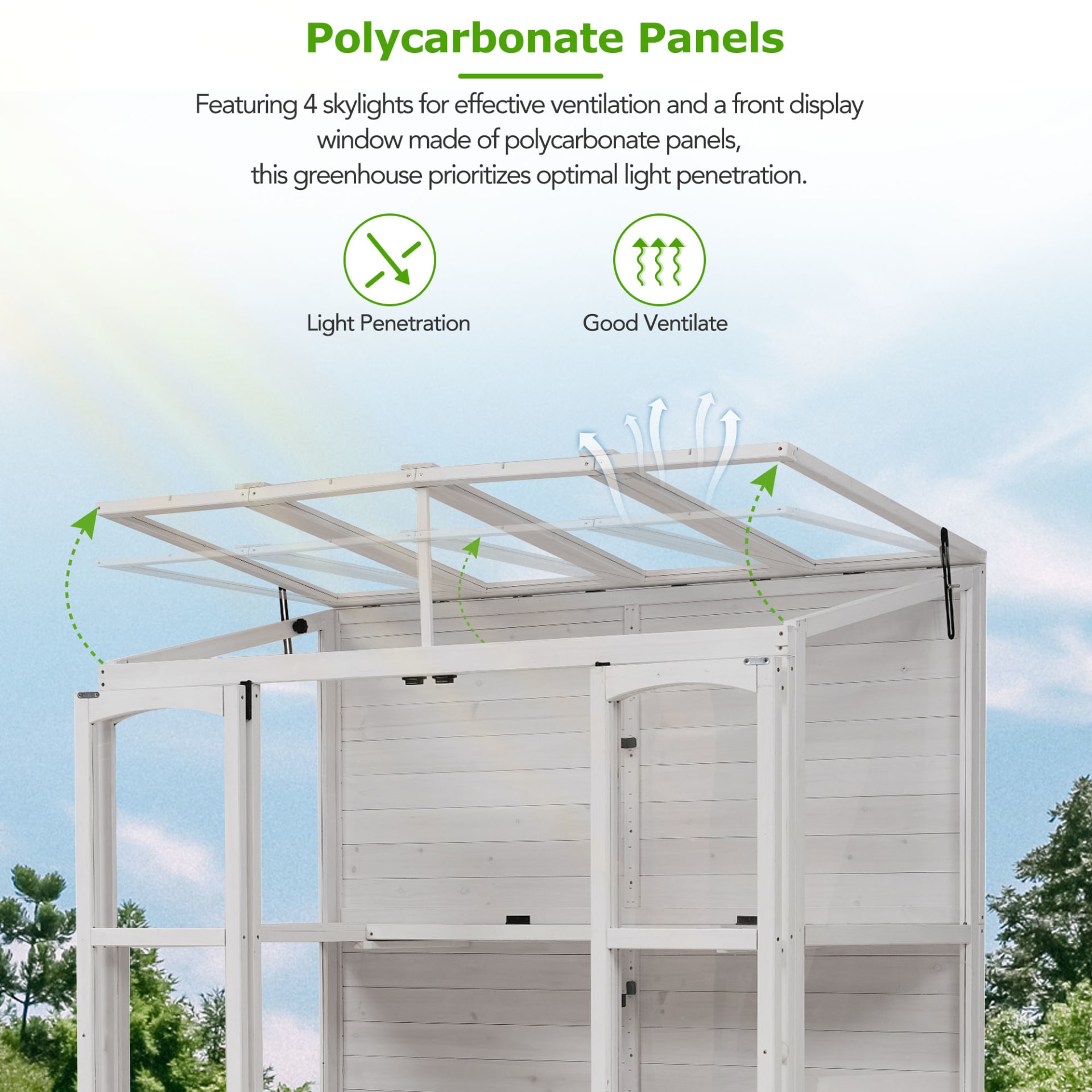 TOPMAX 78-inch Wooden Greenhouse Cold Frame With 4 Independent Skylights And 2 Folding Middle Shelves, Walk-in Outdoor Greenhouse, White view 5