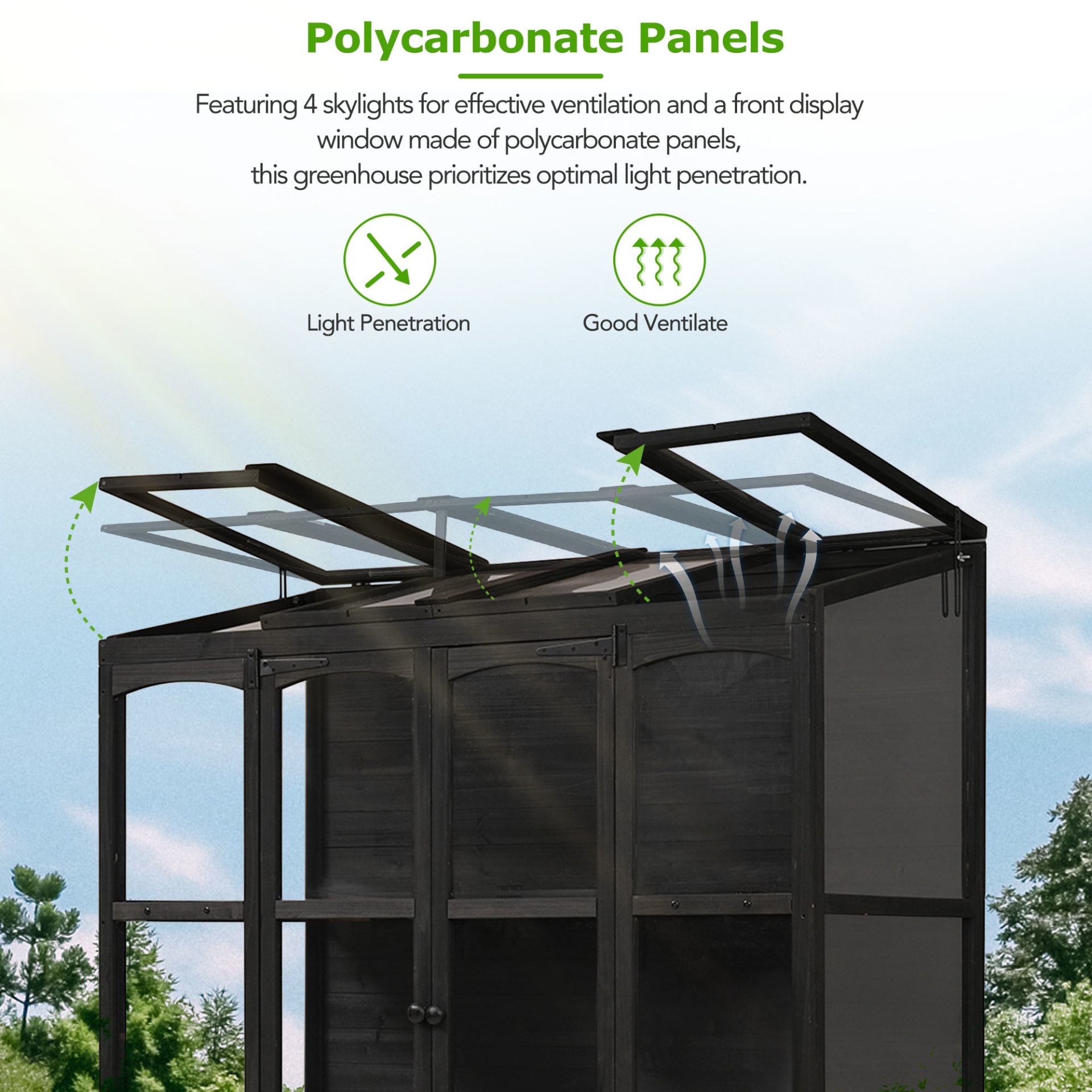 TOPMAX 78-inch Wooden Greenhouse Cold Frame With 4 Independent Skylights And 2 Folding Middle Shelves, Walk-in Outdoor Greenhouse, Black view 5