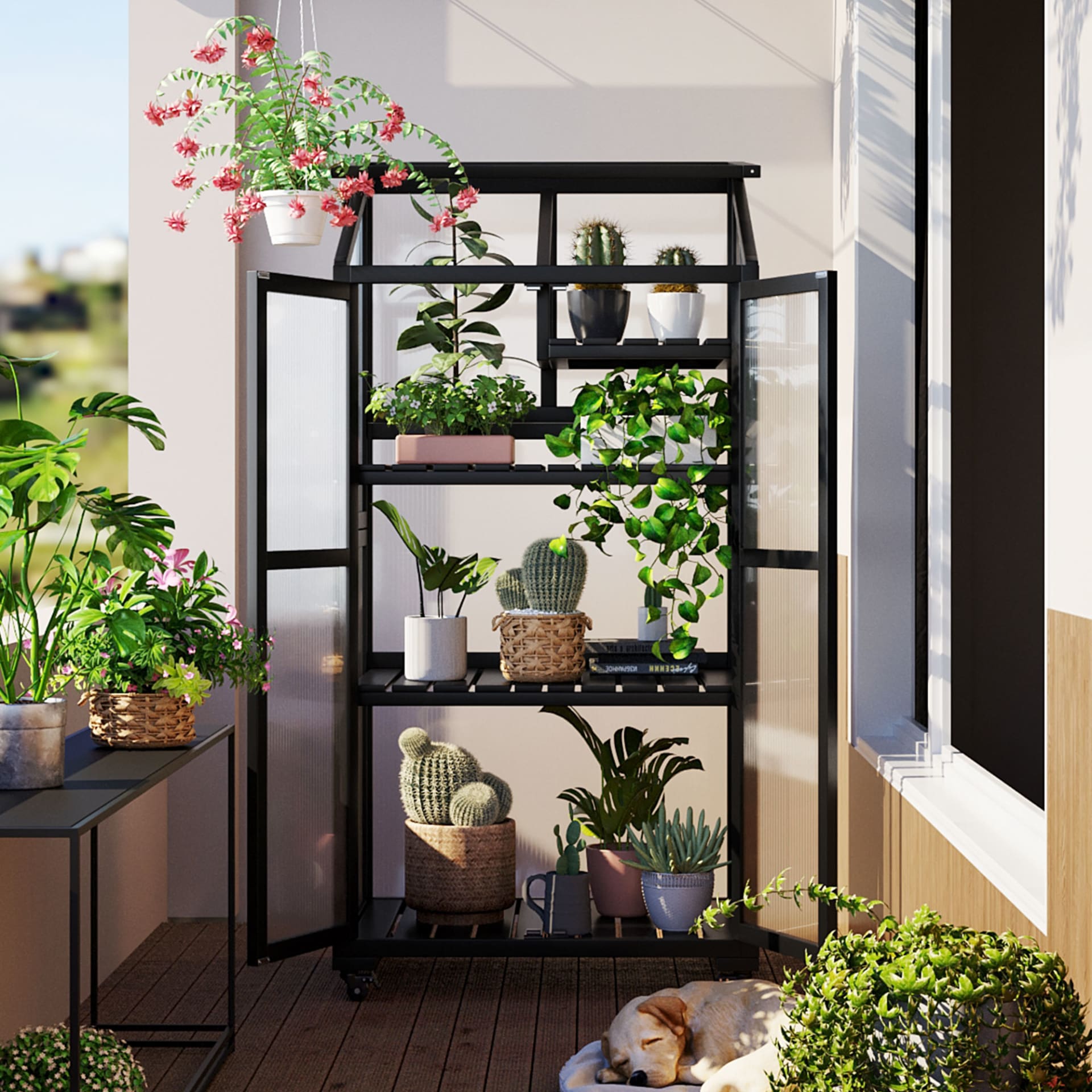 TOPMAX 62inch Height Wood Large Greenhouse Balcony Portable Cold Frame With Wheels And Adjustable Shelves For Outdoor Indoor Use, Black view 5