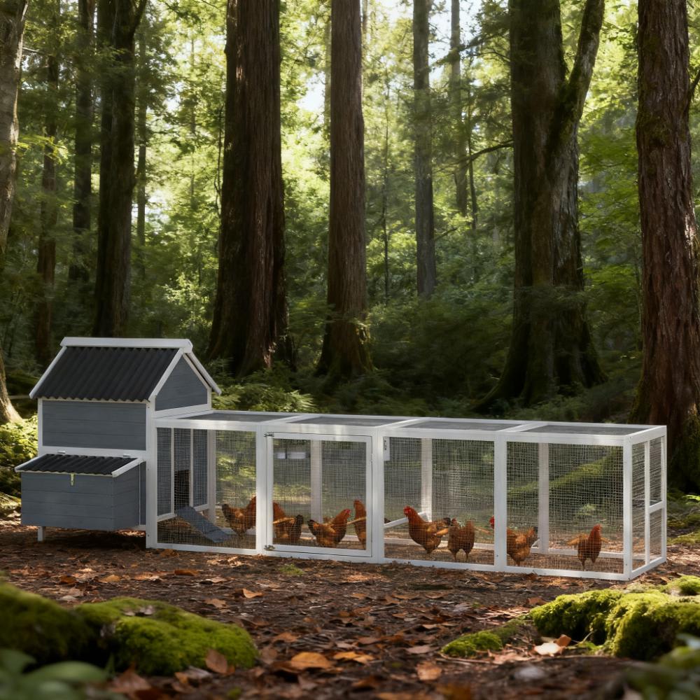 Chicken Coop For 10-15 Chickens Extra Large Wooden Chicken Coop view 5