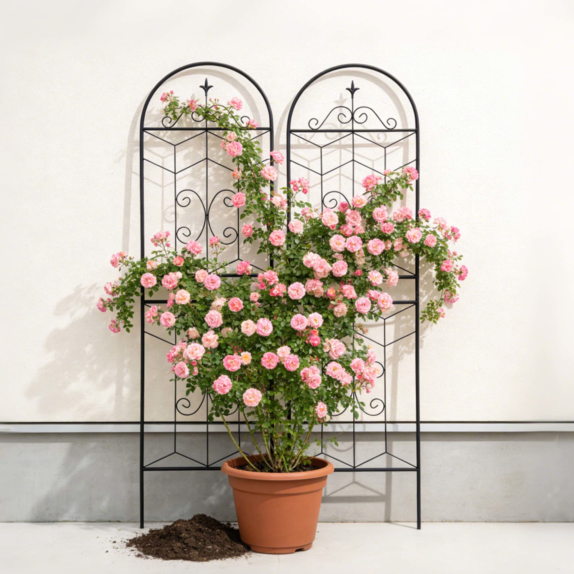 2 Pack Metal Garden Trellis 71  X 19.7  Rustproof Trellis For Climbing Plants Outdoor Flower Support Black view 5