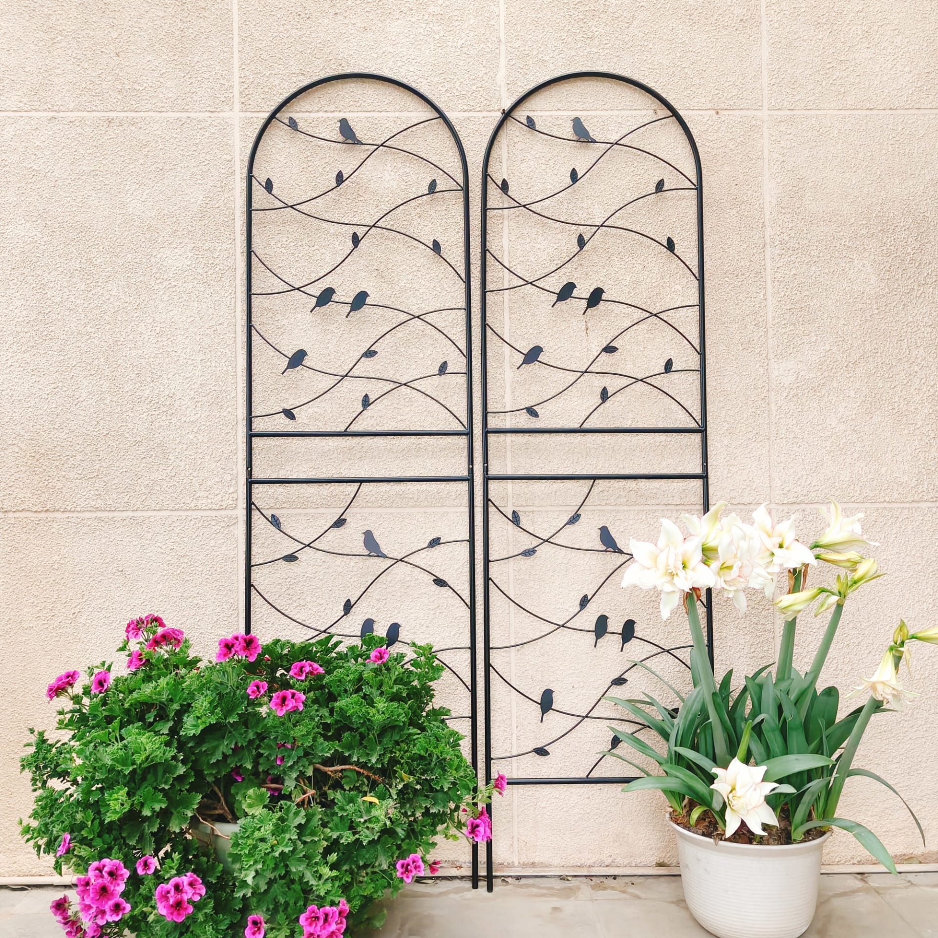 2 Pack Metal Garden Trellis 71  X 19.7  Rustproof Trellis For Climbing Plants Outdoor Flower Support Bird Deco Black view 4