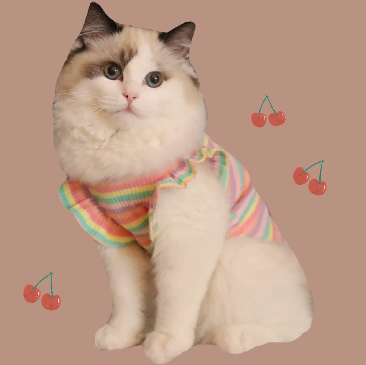 Summer Dog Cat Costume Small Breathable Cotton view 5