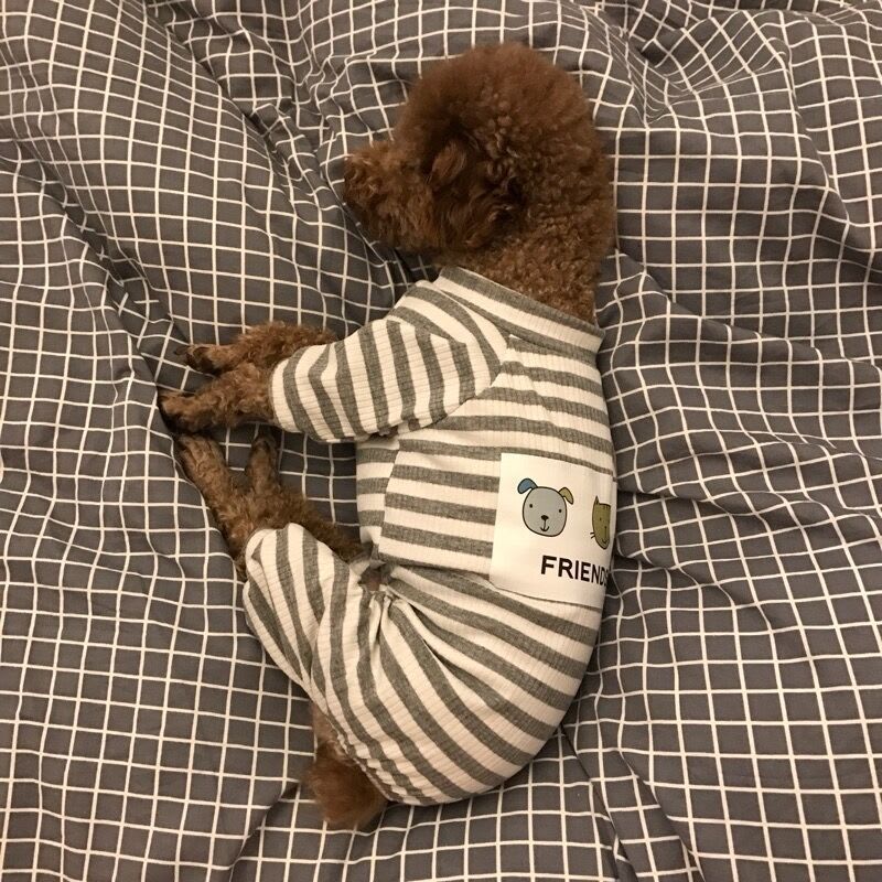 Pet Soft And Comfortable Home Clothes Small Dog Pajamas Base Coat view 5