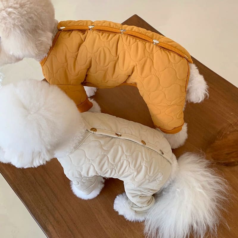 Teddy Thickened Bomei Clothes Than Bear view 6