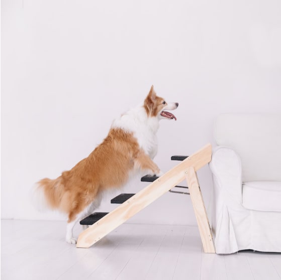 Wooden Foldable 4-storey Pet Stairs And Ramps view 3