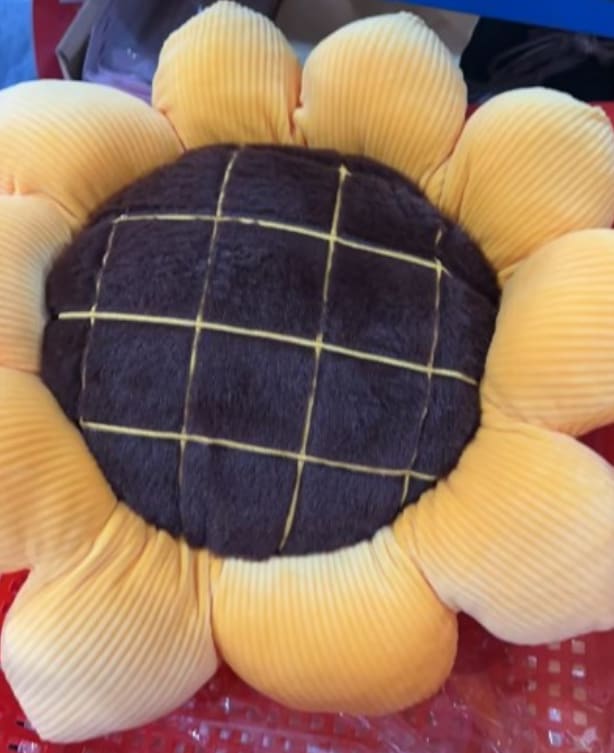 Bed and Breakfast Cushion Small Daisy Petal Cushion view 10