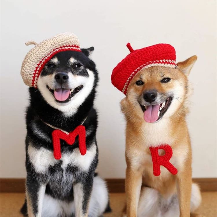 DIY Mini Mixed Color Hand-knitted Beret Cute Pet view 1