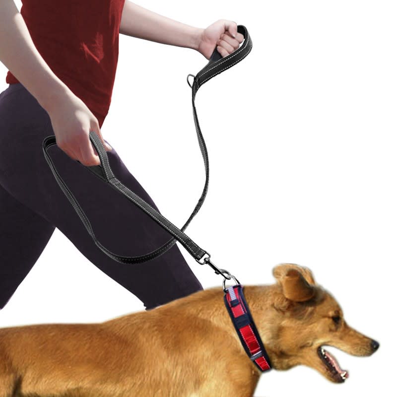 Pet Double Handle Pull Leash view 2