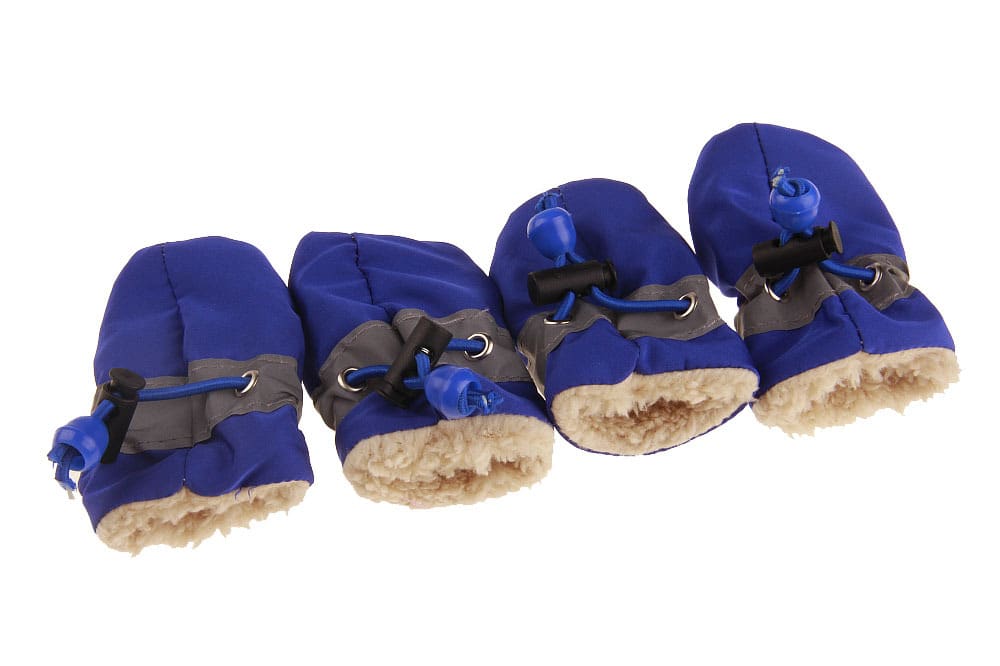 Dog Shoes view 8
