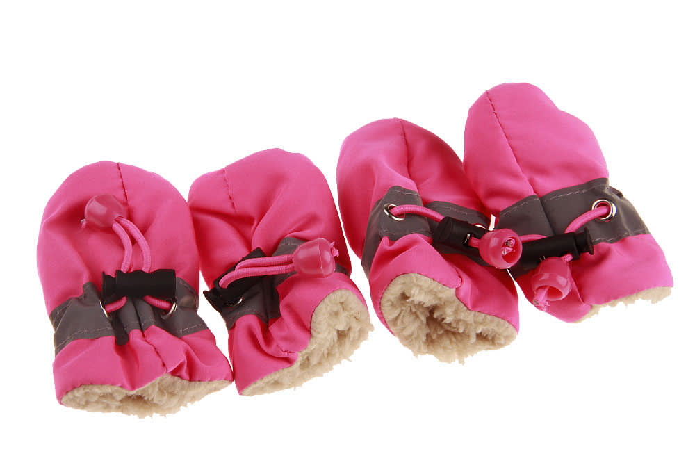 Dog Shoes view 2