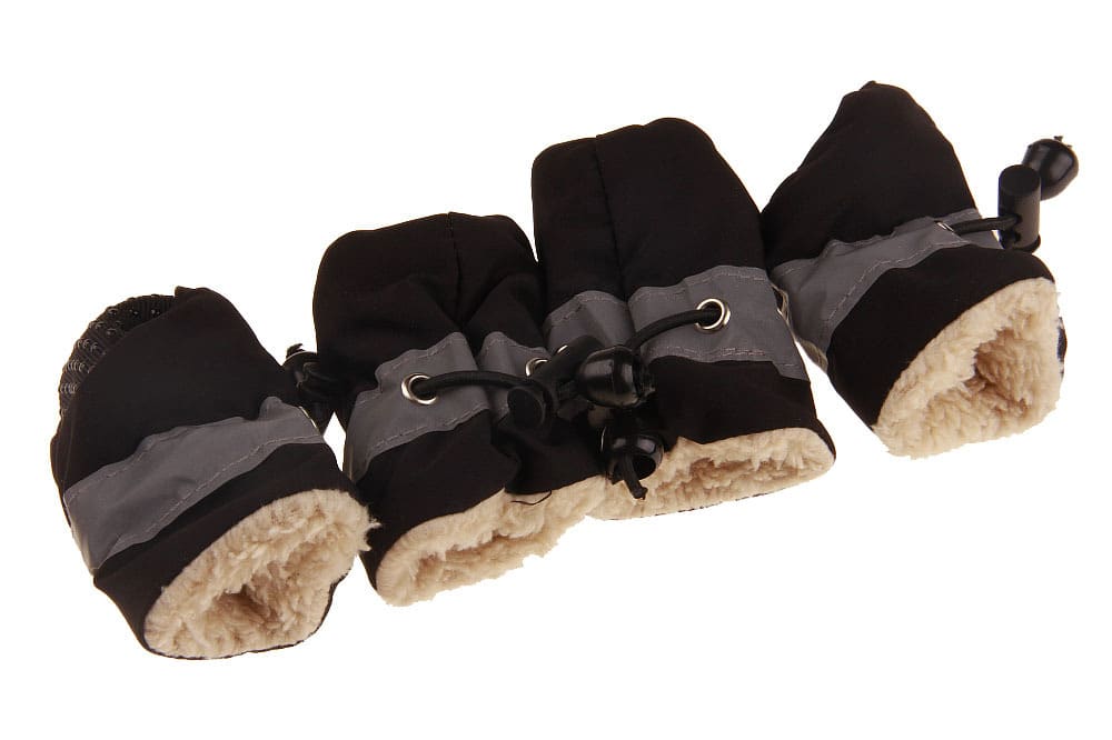 Dog Shoes view 4