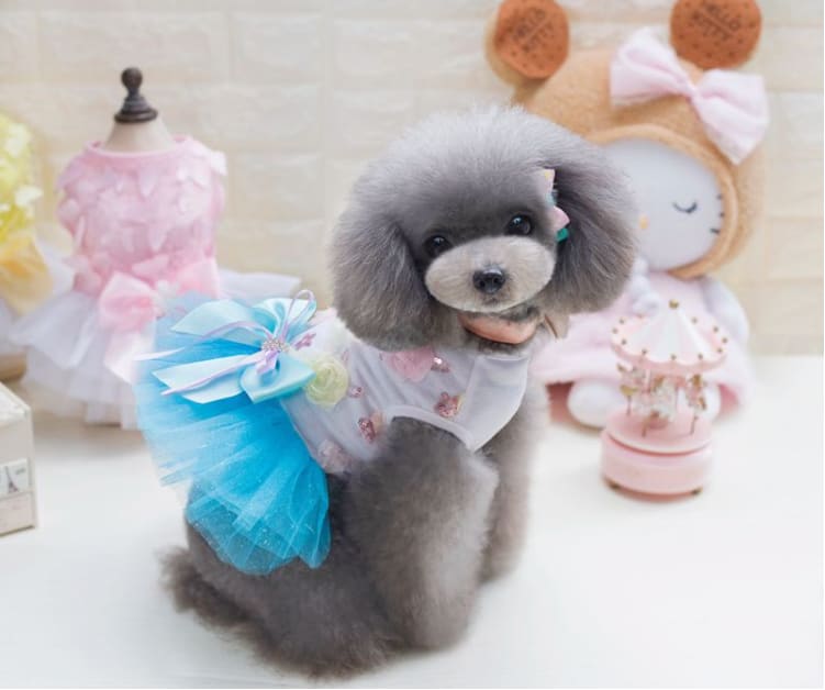 Dog Skirt Princess Tutu Spring-Summer Teddy Dress Mesh Thin Summer Dog Clothes view 1