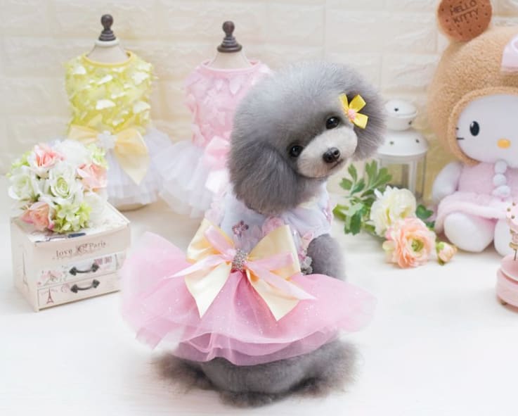 Dog Skirt Princess Tutu Spring-Summer Teddy Dress Mesh Thin Summer Dog Clothes view 3