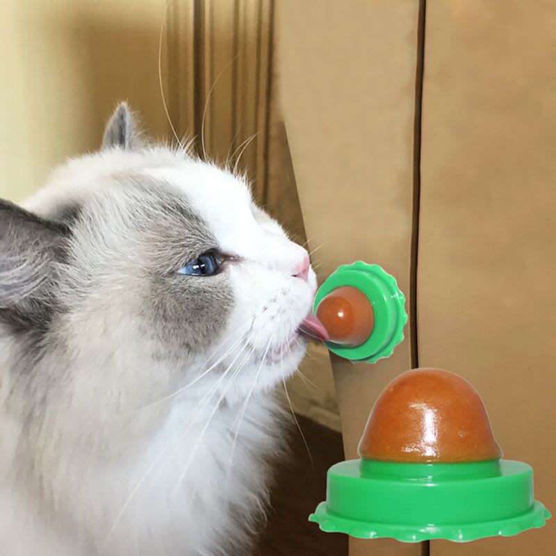 Pet Cat Sugar Energy Ball Lick Toys Catnip view 18