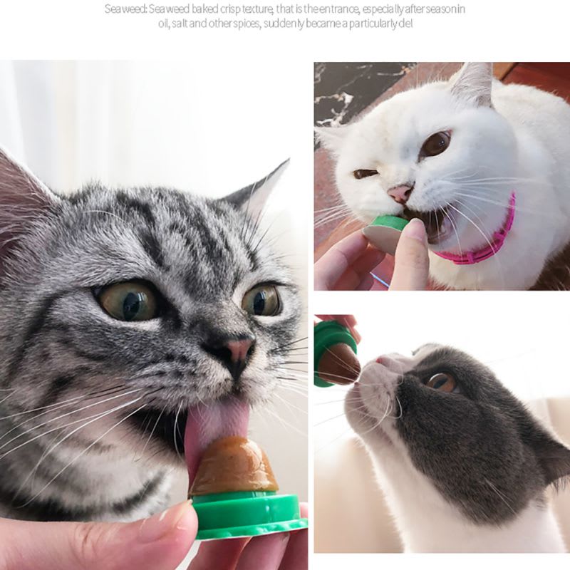 Pet Cat Sugar Energy Ball Lick Toys Catnip view 24