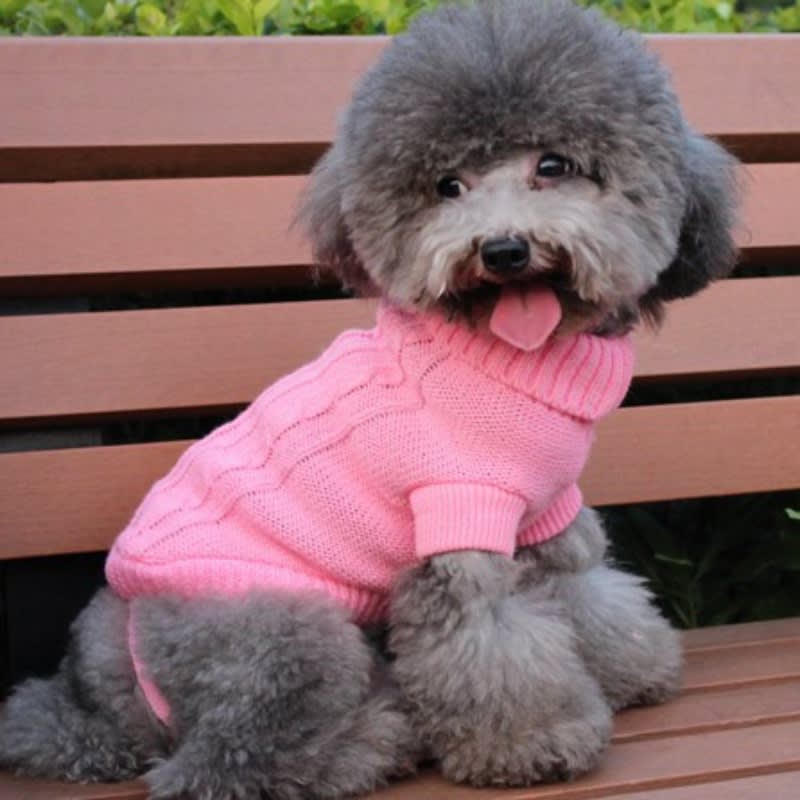 Dog sweater view 10