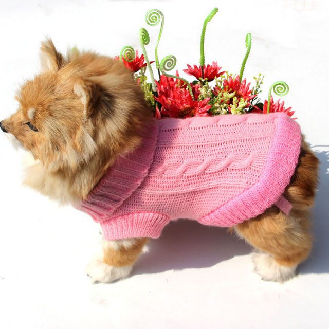 Dog sweater view 2