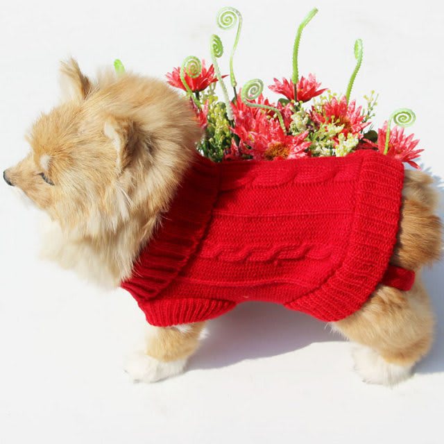 Dog sweater view 5