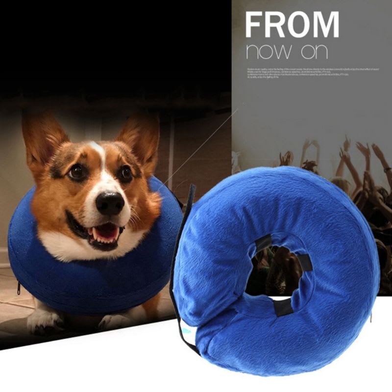 Dog Collar Dog Collar PVC Inflatable Pet Collar Anti-bite Anti-Lick view 6