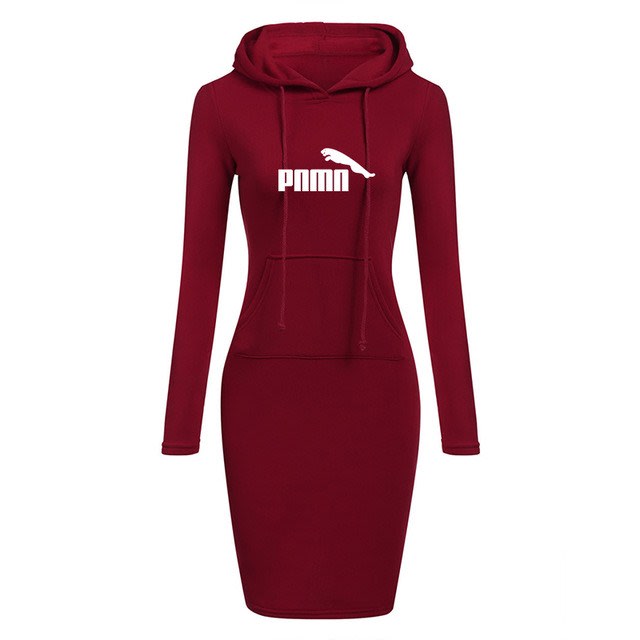 Autumn Winter Women Hoodies Sweatshirts Long-sleeved Dress view 5