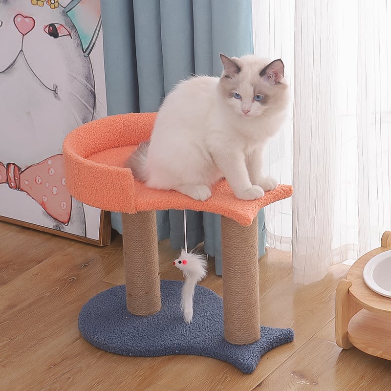 Tianzhu Small Cat Jumping Platform Toy With Nest view 2