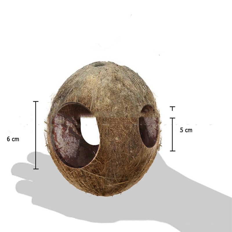 Creative Coconut Shell Bird Nest Feeder view 4