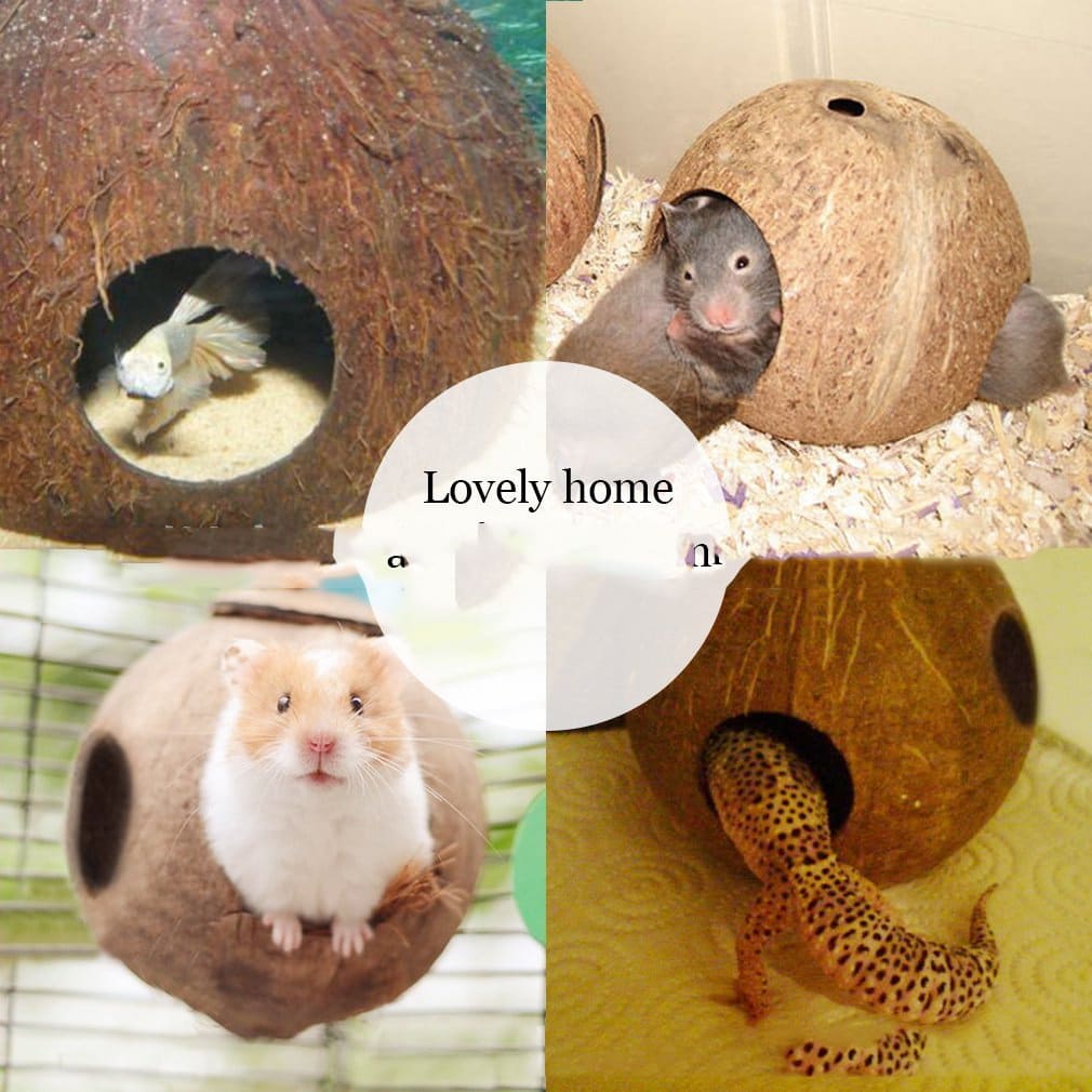 Creative Coconut Shell Bird Nest Feeder view 2