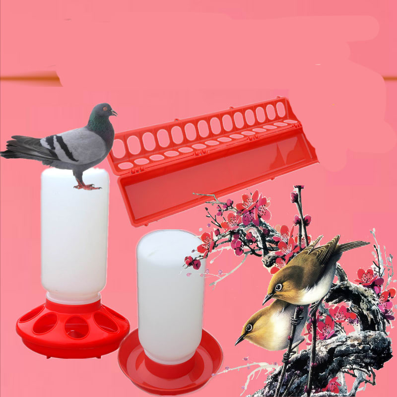 The Bird Feeds The Water Bottle To The Pigeon With A Waterer view 7