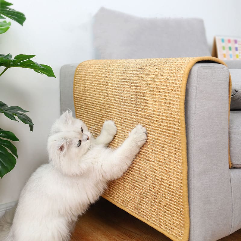 Anti-scratch Protection Sofa Cat Claw Grinding Pad For Cats view 5