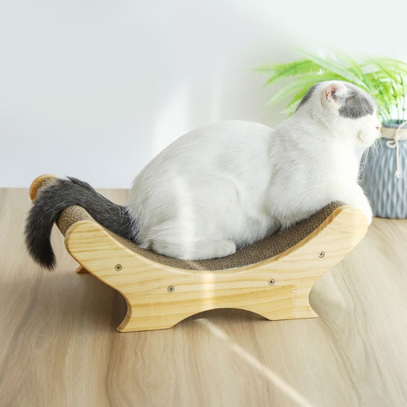 Claw Sharpener Cat Toy To Send Catnip view 5