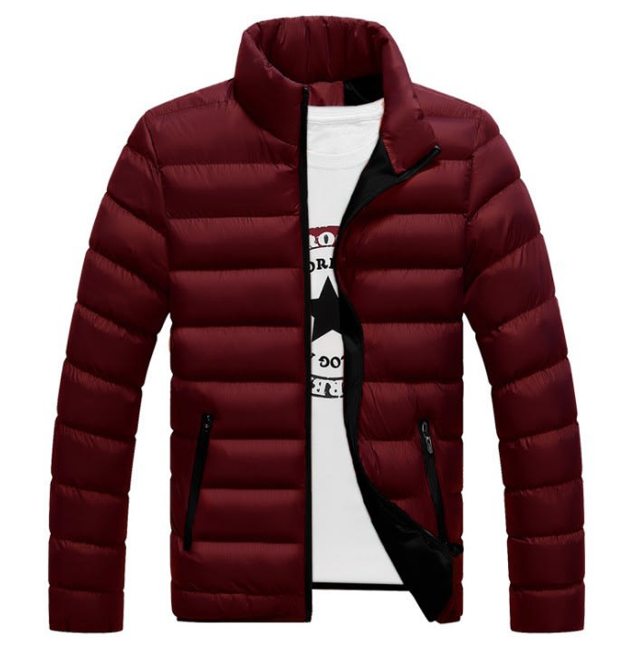 Fall Winter Padded Jacket Stand-Collar Down Jacket Men'S Self-Cultivation To Keep Warm view 4
