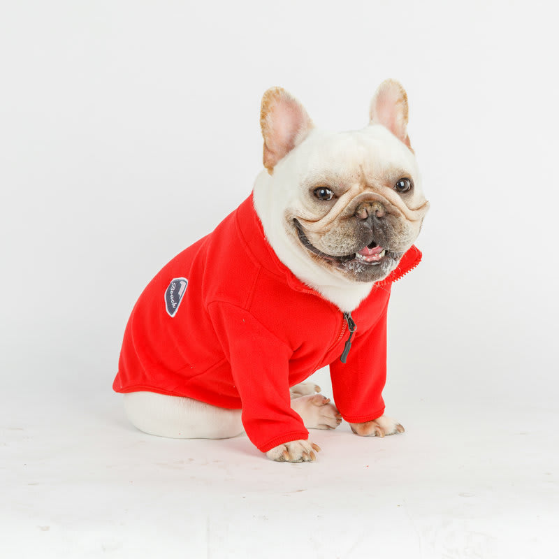 Dog Clothes Solid Color Zipper Coat view 5