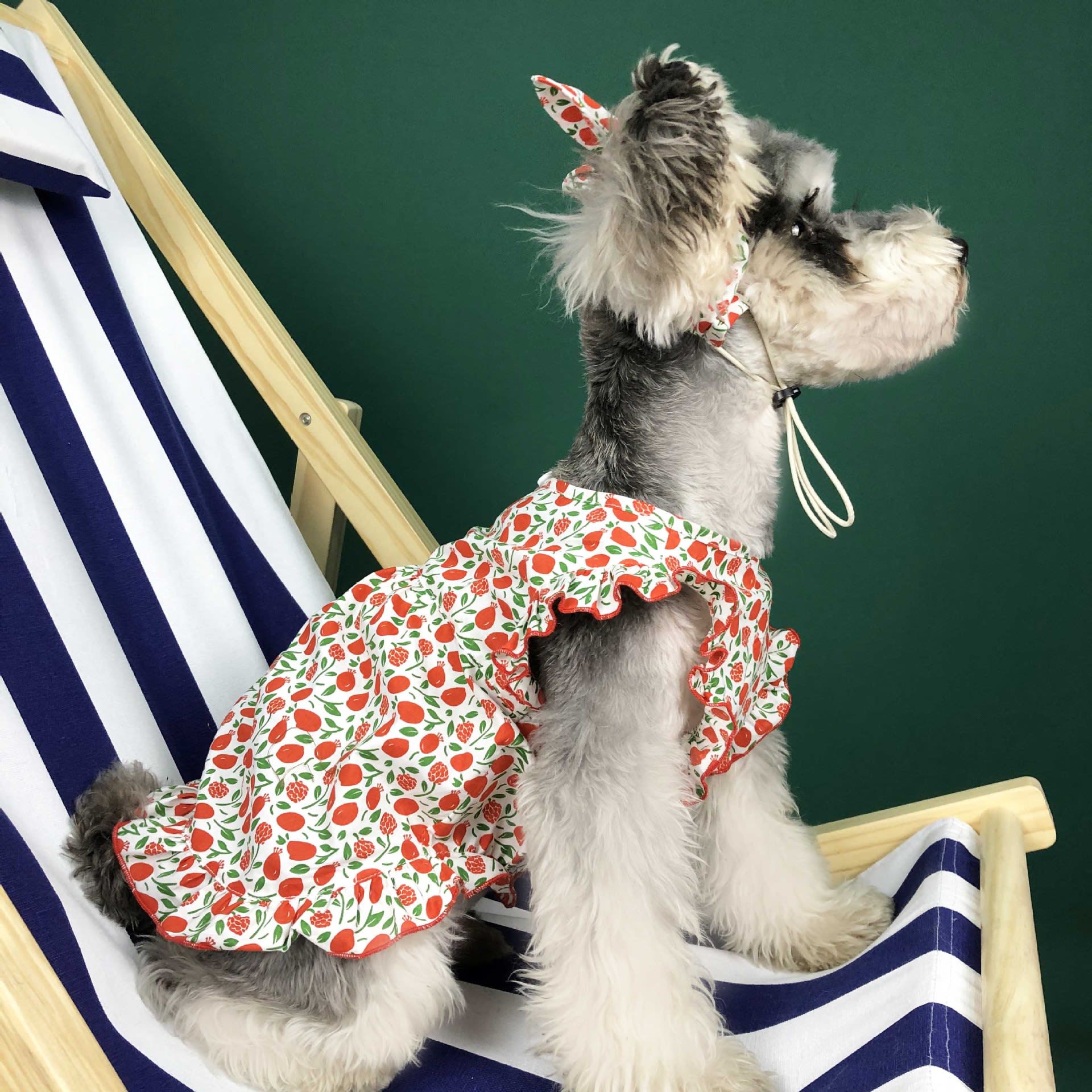 Dog Clothes Summer Thin Small Dog Dress Pet Clothes view 2
