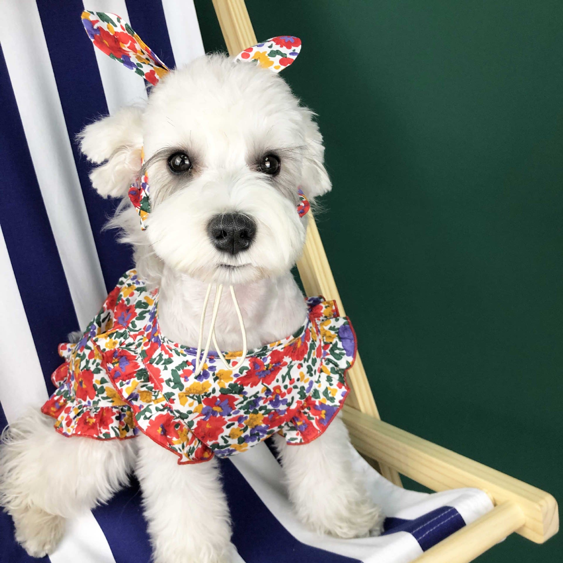 Dog Clothes Summer Thin Small Dog Dress Pet Clothes view 3
