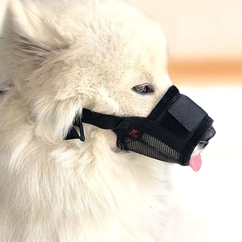 Dog Bite-proof Mouthpiece Guard Dog Bite-proof Furniture Protective Cover Leggings view 4