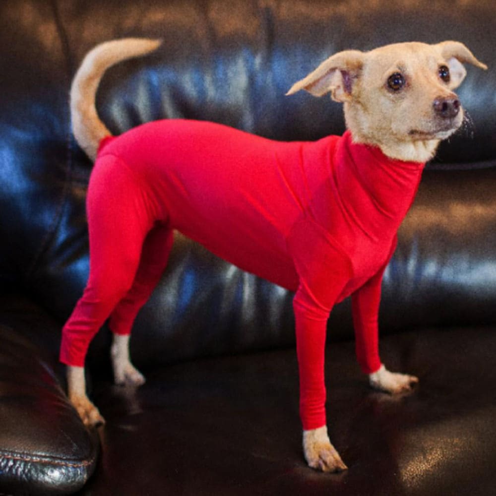 Pet Dog Jumpsuit Medium Large Dog Pajamas Anxiety view 12