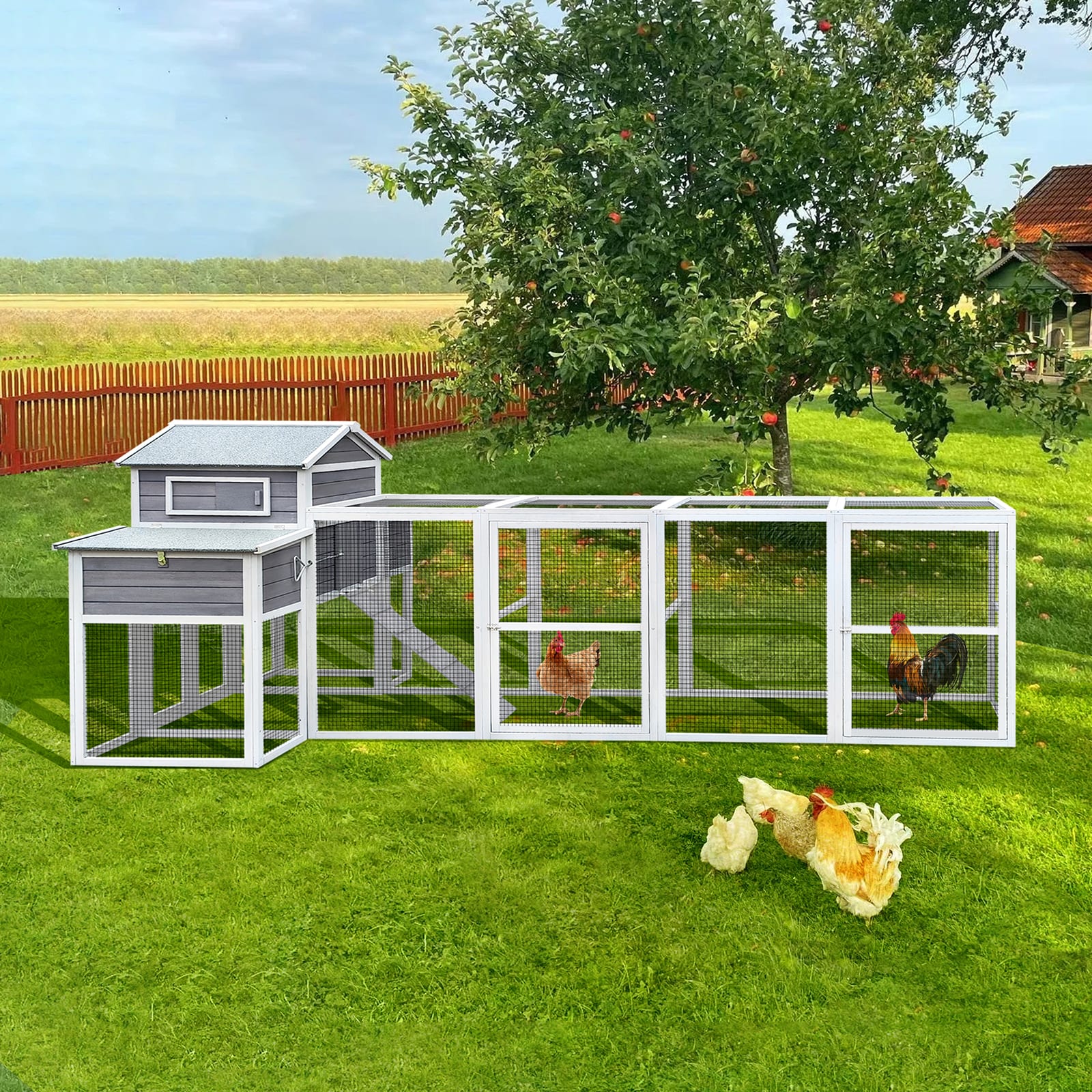 Wooden Chicken Coop view 6