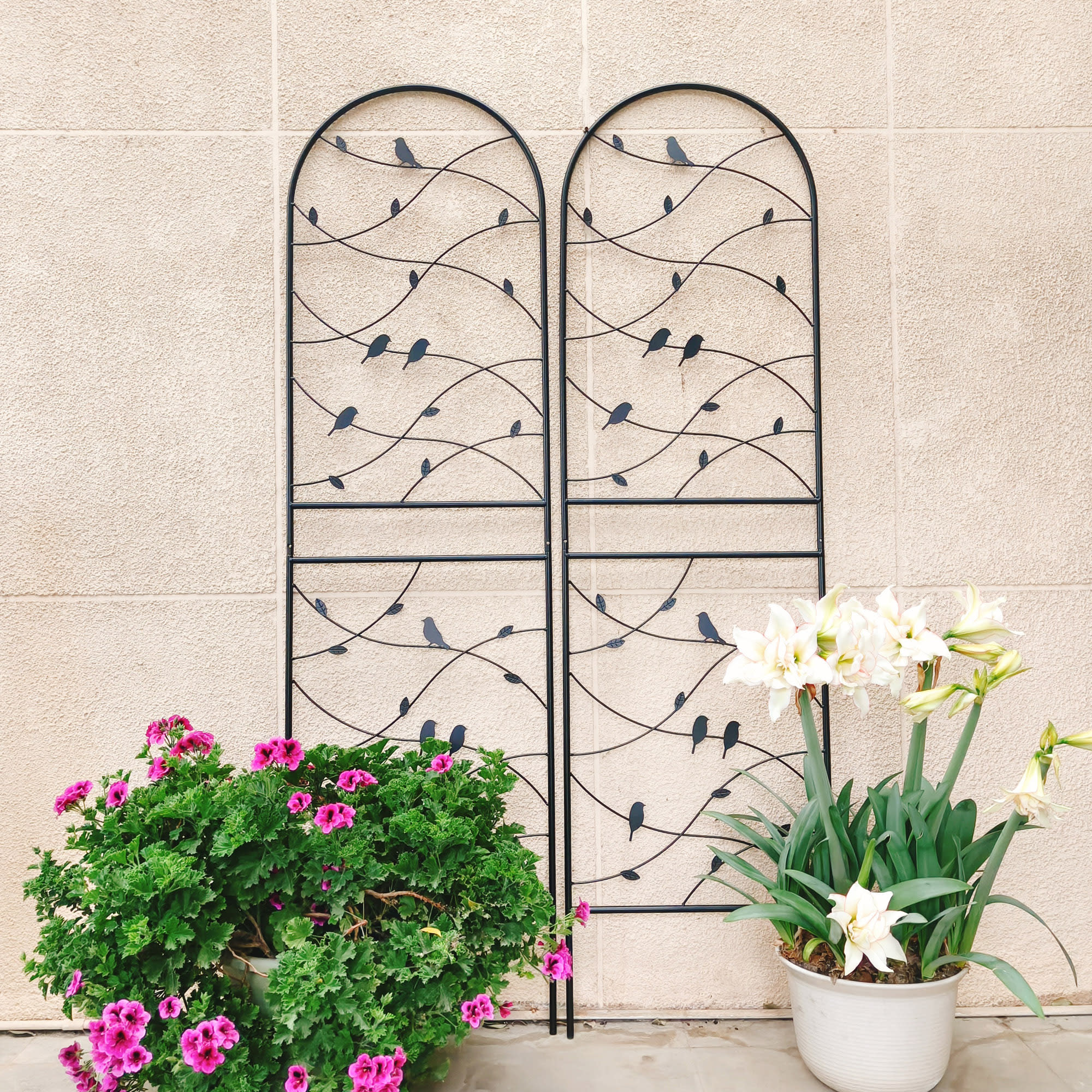 4 Pack Metal Garden Trellis 71  X 19.7  Rustproof Trellis For Climbing Plants Outdoor Flower Support Bird Deco Black view 5