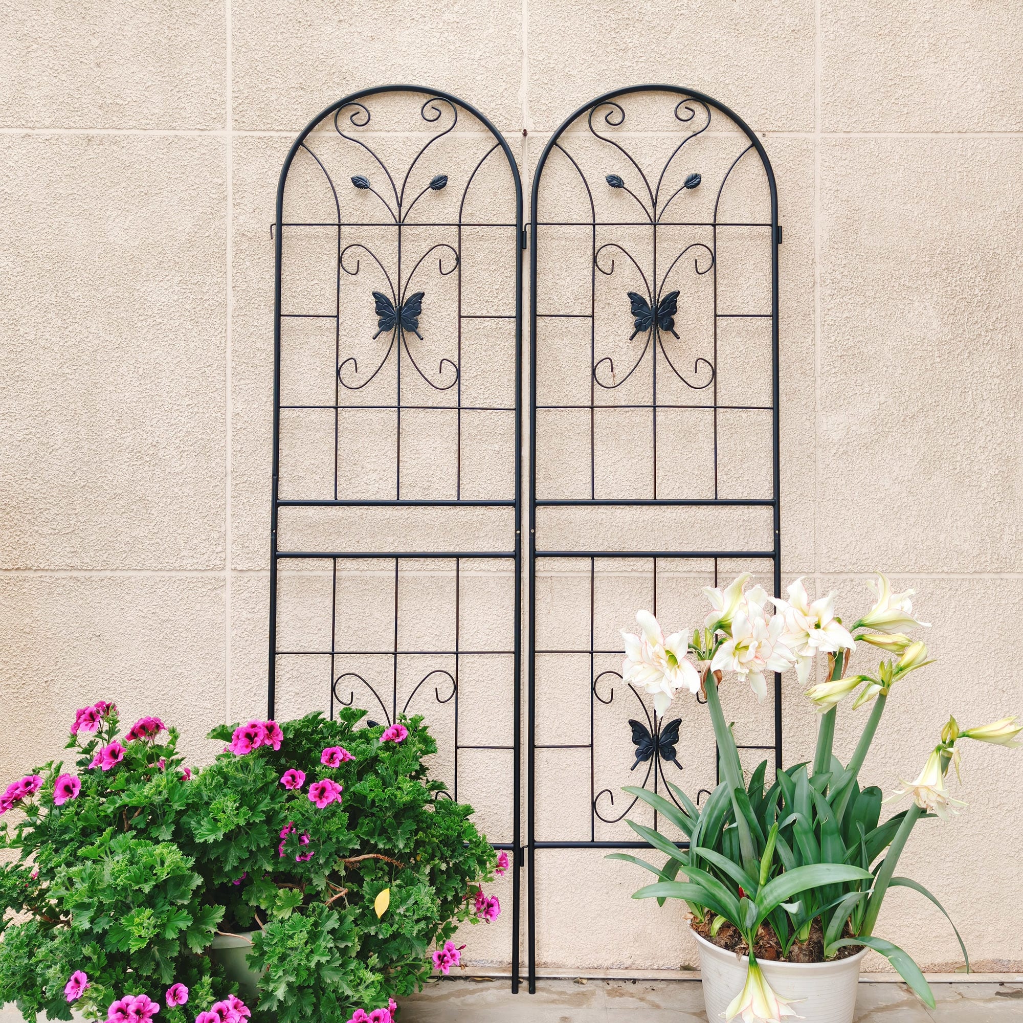 4 Pack Metal Garden Trellis 71  X 19.7  Rustproof Trellis For Climbing Plants Outdoor Flower Support Black view 4