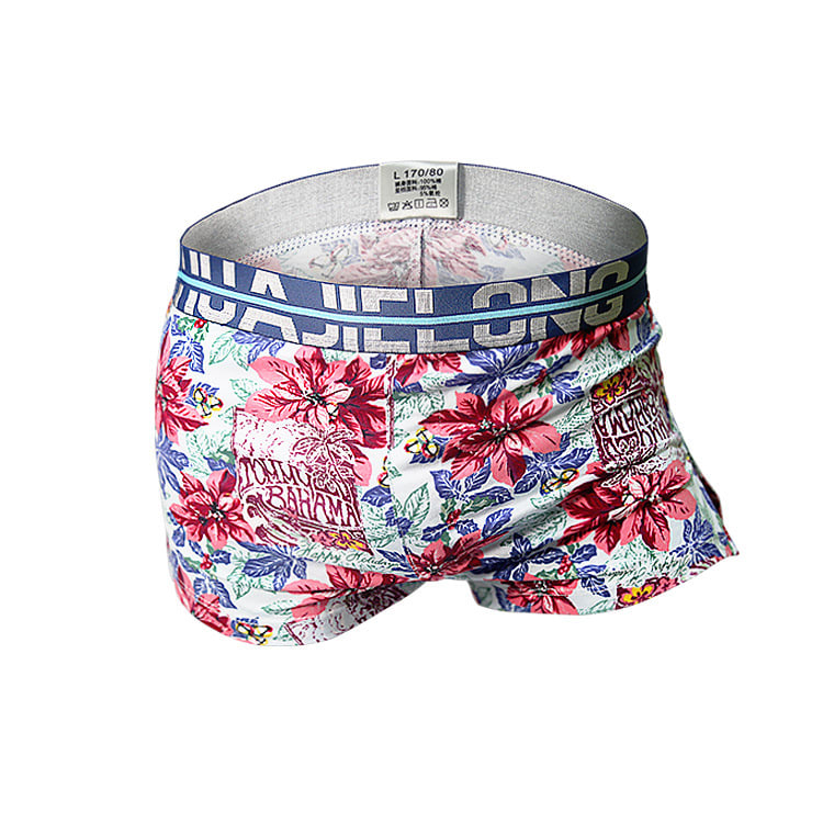 Soft And Comfortable Cotton Men's Patterned Underwear view 2