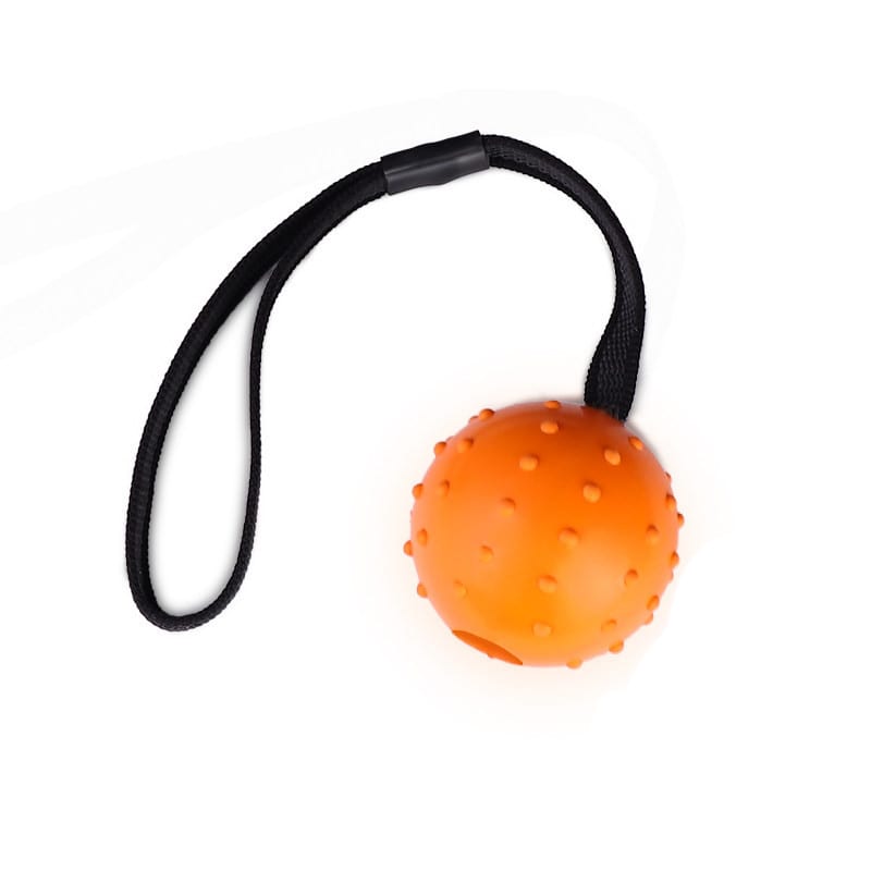 Dog Training Bite Resistant Rubber Ball Small Medium-sized Large Dog Horse Dog Bianmu Molar Toy Ball view 5
