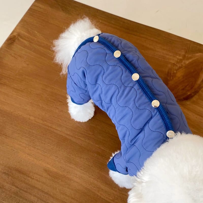 Teddy Thickened Bomei Clothes Than Bear view 3
