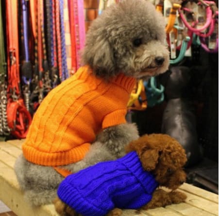 Dog sweater view 3