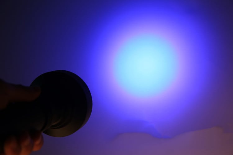 Violet fluorescent agent detection flashlight view 8
