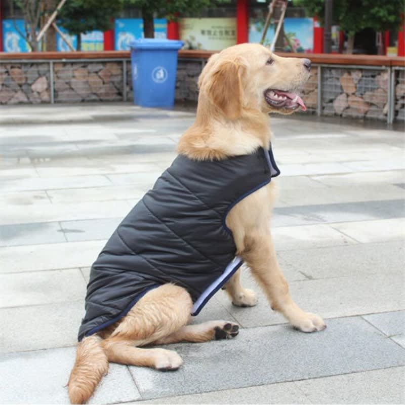 Winter Cotton Coat Pet Dog Clothes view 8