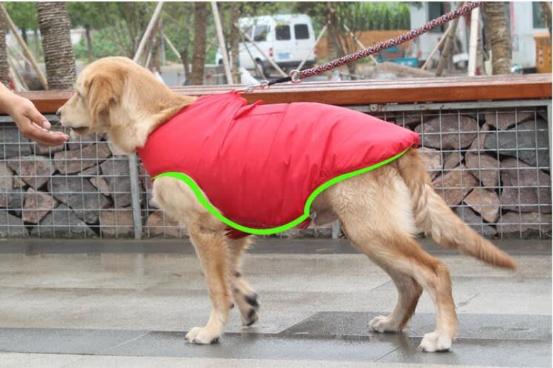 Winter Cotton Coat Pet Dog Clothes view 9