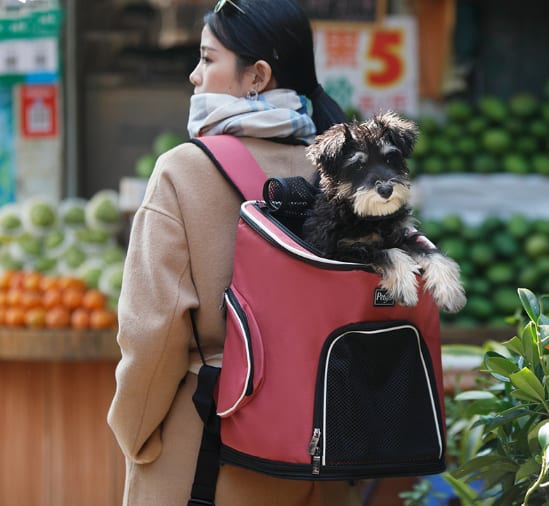 Pet Dog Backpack view 5